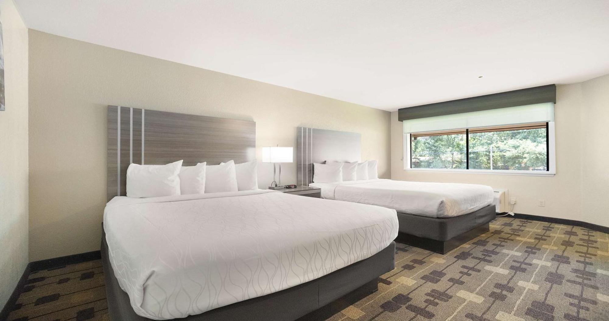 Best Western Amador Inn Jackson Dış mekan fotoğraf